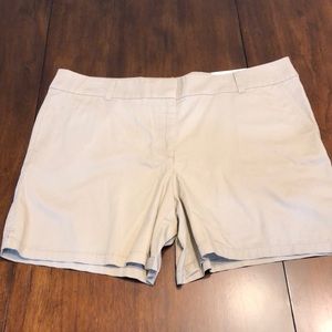 Ann Taylor Loft NWT 6 inch shorts